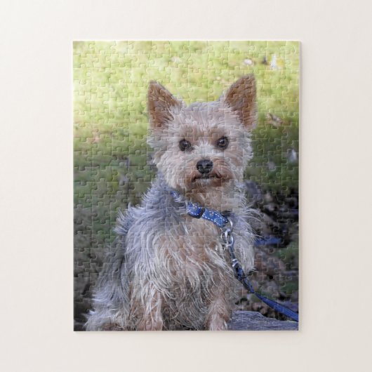 Yorkie Puzzle Legpuzzel (Verticaal)