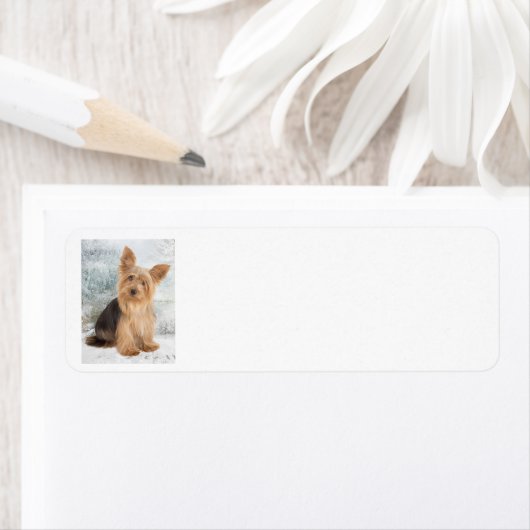 Yorkie Return Address Label (Insitu)