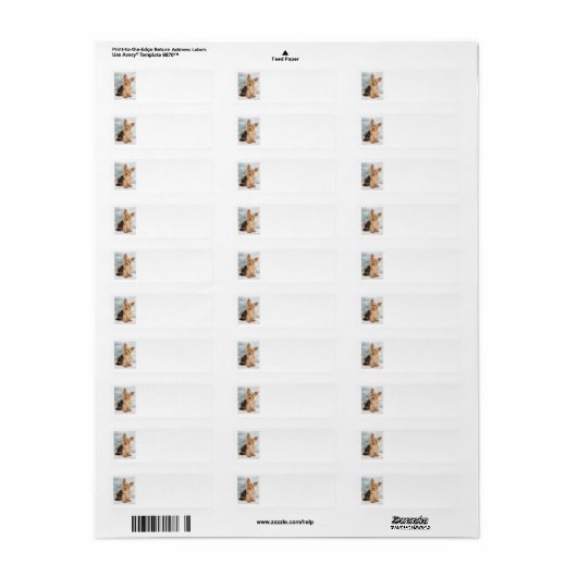Yorkie Return Address Label (Full Sheet)