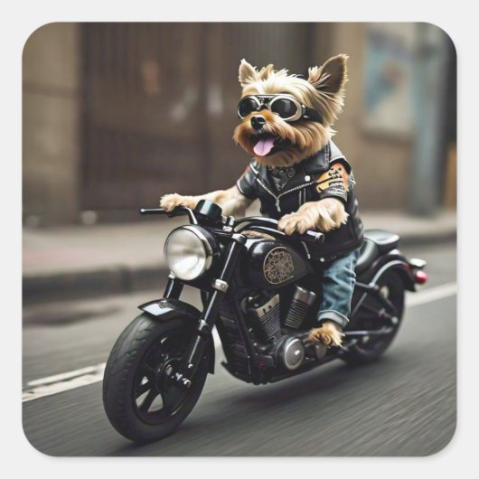 Yorkie Riding Motorcycle Sticker (Voorkant)