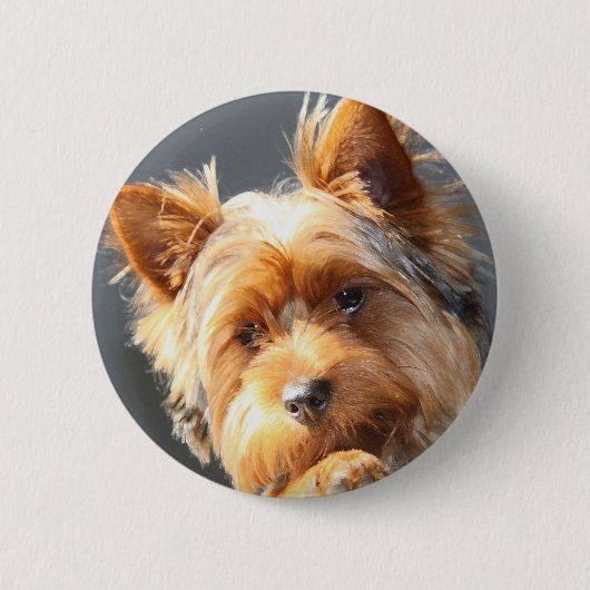 yorkie ronde button 5,7 cm (Voorkant)