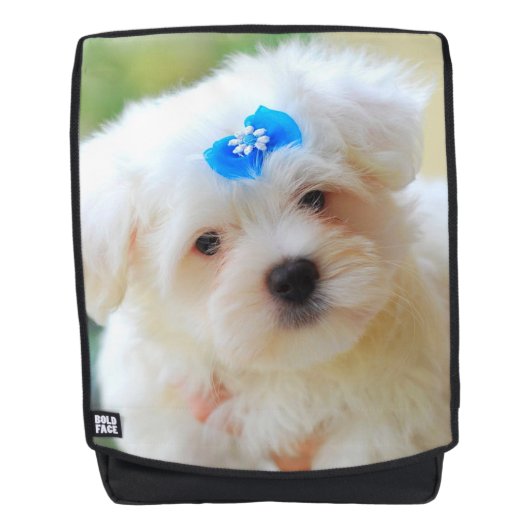 Yorkie Rugtassen (Voorkant)