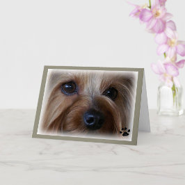Yorkie Sad Eyes Kaart