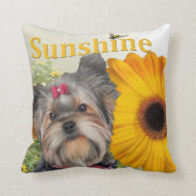 Yorkie Sunflower en Bumble bijen PetVenturesVS