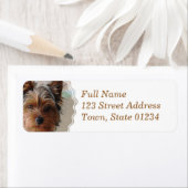 Yorkie Terrier Mailing Label (Insitu)