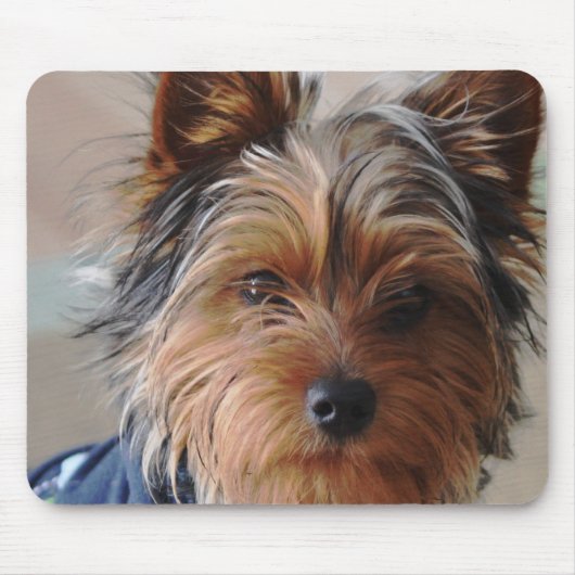 Yorkie Terrier Muismat (Voorkant)