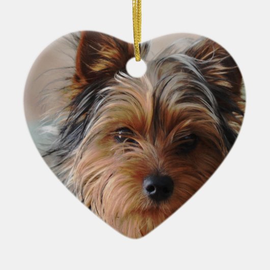 Yorkie Terrier Ornament (Voorkant)