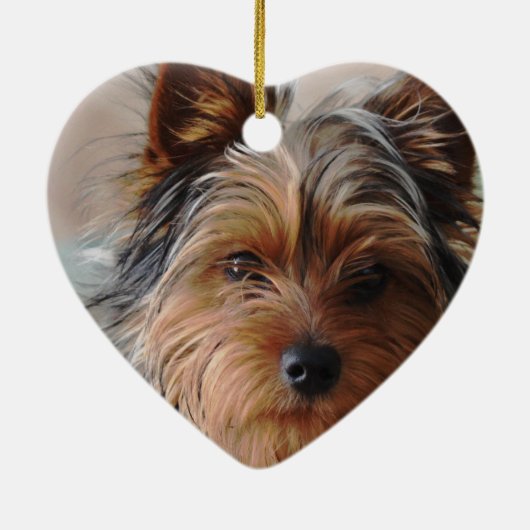 Yorkie Terrier Ornament (Achterkant)