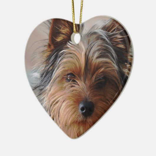 Yorkie Terrier Ornament (Links)