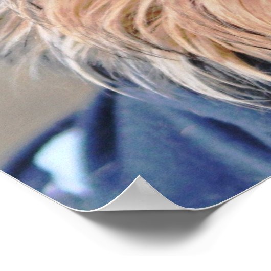 Yorkie Terrier Poster (Hoek)