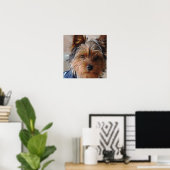 Yorkie Terrier Poster (Thuiskantoor)