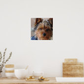 Yorkie Terrier Poster (Keuken)