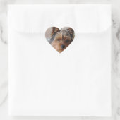 Yorkie Terrier Sticker (Tas)