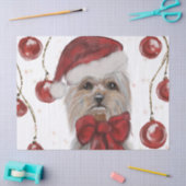 Yorkie Tissuepapier (Craft)