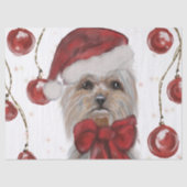 Yorkie Tissuepapier (Voorkant)