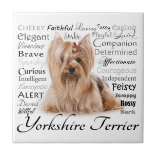 Yorkie Traits Tile Tegeltje