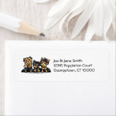 Yorkie Trio Etiket (Insitu)