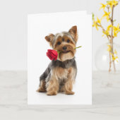 Yorkie Valentine – Kleine hond, grote liefde Kaart (Gele Bloem)