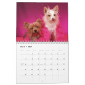 Yorkie Vrienden 2013 Kalender (Mar 2027)