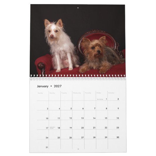 Yorkie Vrienden 2013 Kalender (Jan 2027)