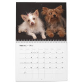 Yorkie Vrienden 2013 Kalender (Feb 2027)