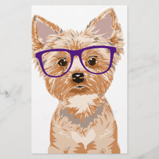 Yorkie Wearing Glasses