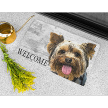 Yorkie Welcome Cute Dog Pet Yorkshire Terrier