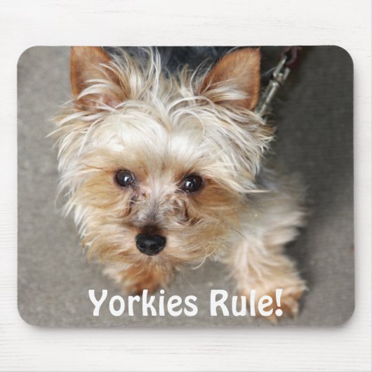 Yorkie, Yorkies Rule! Muismat (Voorkant)