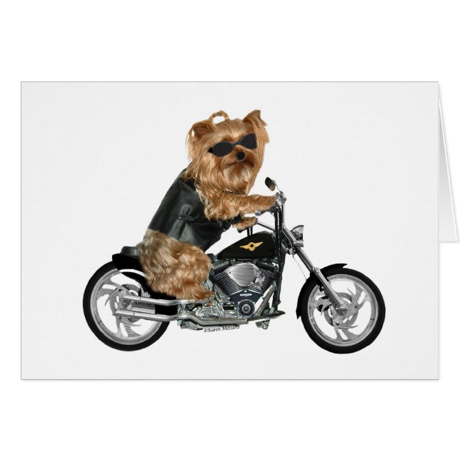 Yorkie Yorkshire Terrier Biker (Voorkant Horizontaal)