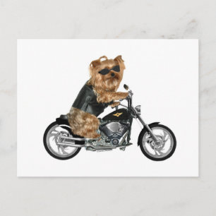 Yorkie Yorkshire Terrier Biker Briefkaart