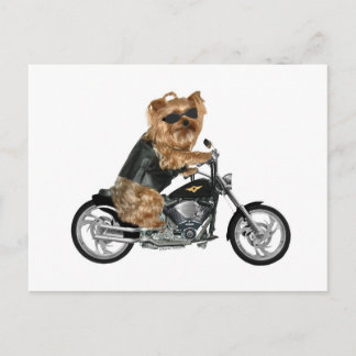 Yorkie Yorkshire Terrier Biker Briefkaart