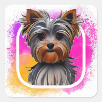 Yorkie, Yorkshire Terrier, Dier