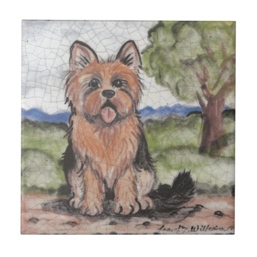 Yorkie Yorkshire Terrier Dog Antiek  look Tegeltje (Voorkant)