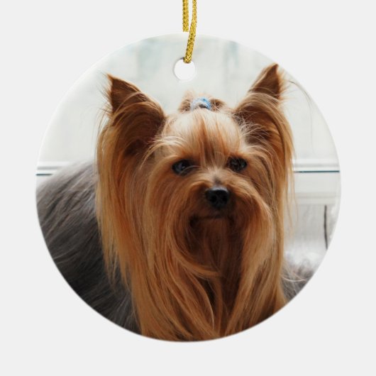 Yorkie Yorkshire Terrier Dog Keramisch Ornament (Voorkant)