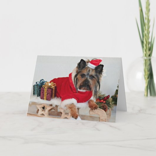 Yorkie Yorkshire Terrier Dog - Kerstkerstkerstkers Feestdagen Kaart (Voorkant)