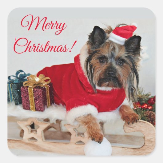 Yorkie Yorkshire Terrier Dog - Kerstkerstkerstkers Vierkante Sticker (Voorkant)