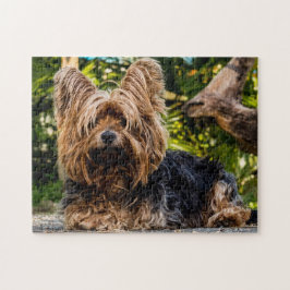 Yorkie Yorkshire Terrier Dog Legpuzzel