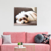 Yorkie, Yorkshire Terrier, Ervaren Ennui Canvas Afdruk (Insitu (Woonkamer))