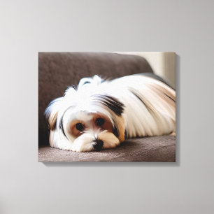 Yorkie, Yorkshire Terrier, Ervaren Ennui Canvas Afdruk