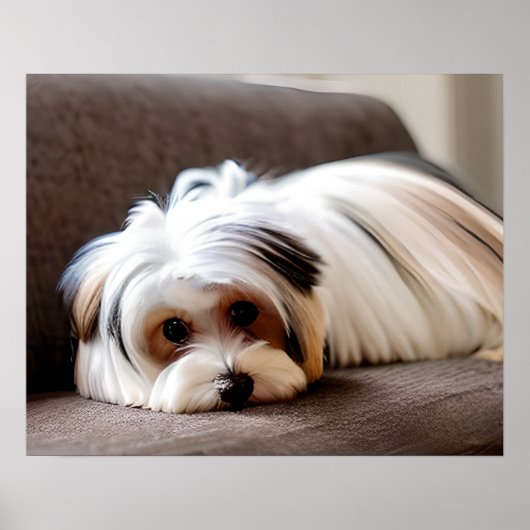 Yorkie, Yorkshire Terrier, Ervaren Ennui Poster (Voorkant)