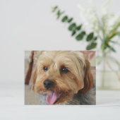 Yorkie Zac Briefkaart (Staand voorkant)