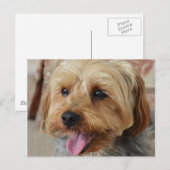 Yorkie Zac Briefkaart (Voorkant / Achterkant)