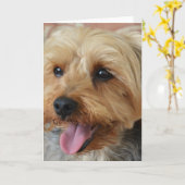 Yorkie Zac Kaart (Gele Bloem)