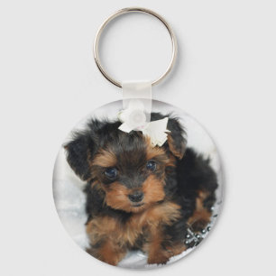 Yorkiepoo Sleutelhanger