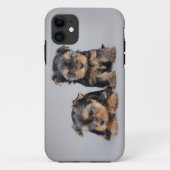 Yorkies Case-Mate iPhone Case (Achterkant)