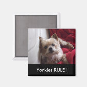 Yorkies HEERSEN! koelkastmagneet Magneet (Voorkant / Achterkant)