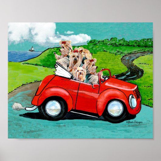 Yorkies in Red Convertible Canvas Art Print (Voorkant)