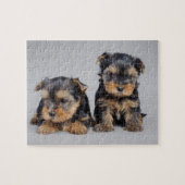 Yorkies Legpuzzel (Horizontaal)