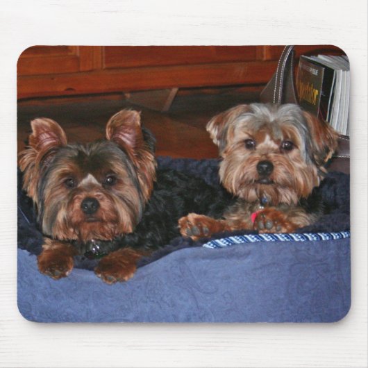 Yorkies - maatjes muismat (Voorkant)