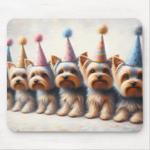 Yorkies met party Petten